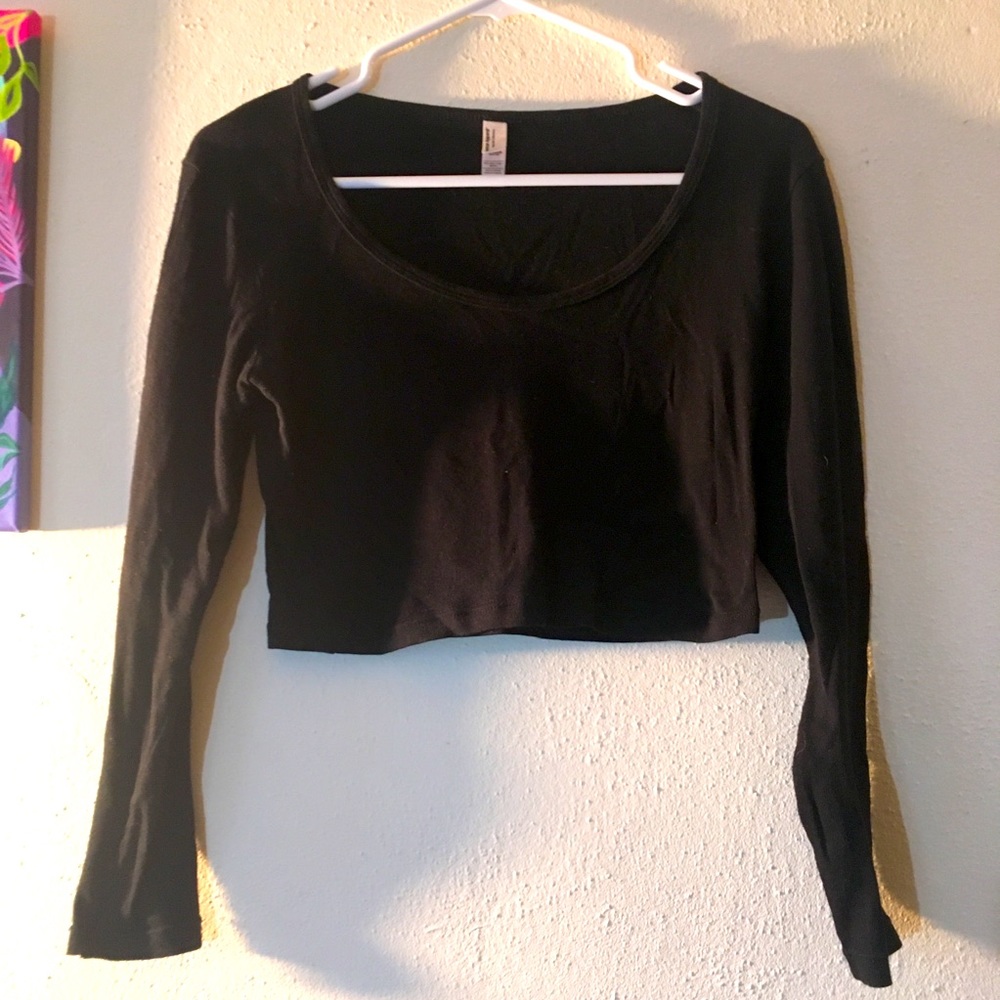 AA Long Sleeve Scoop Neck Crop Top